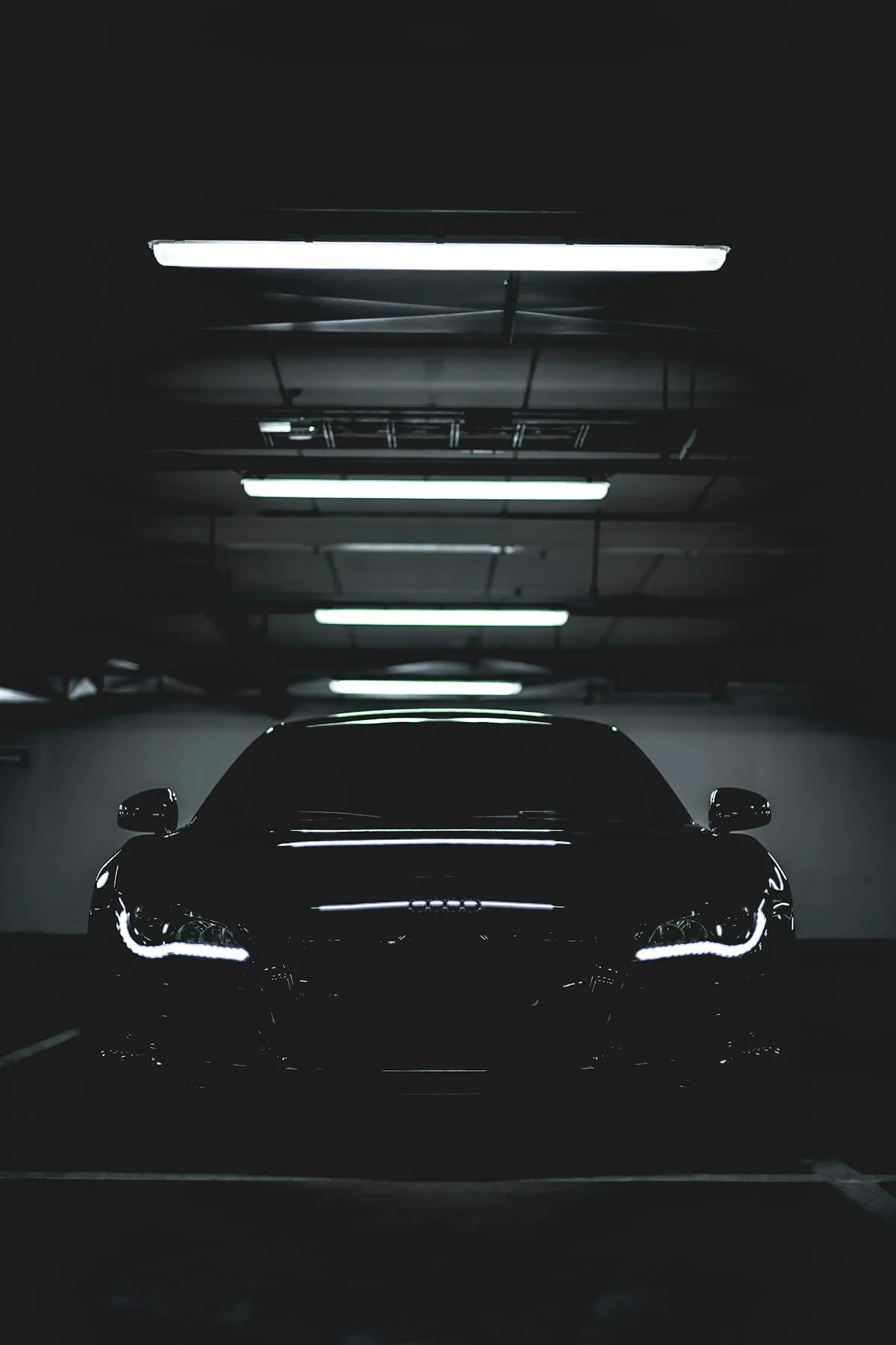 Car detailing 2